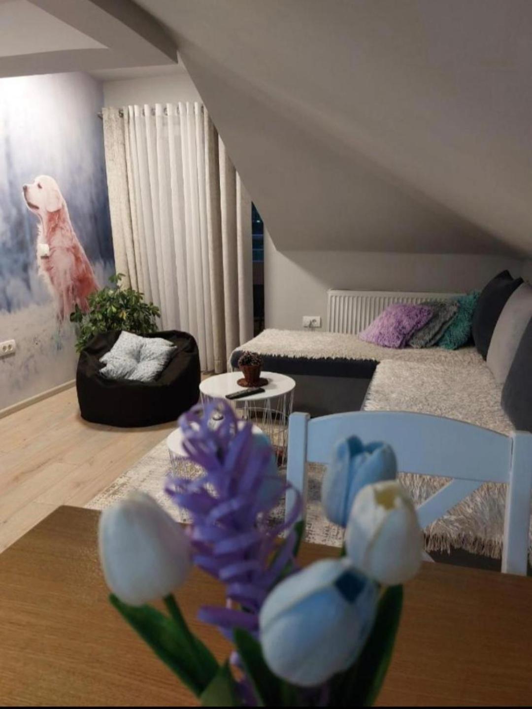 Apartmán Apartman Marija Nova Varoš Exteriér fotografie